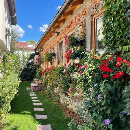 Flower House In The City Center! Pristina Kültér fotó