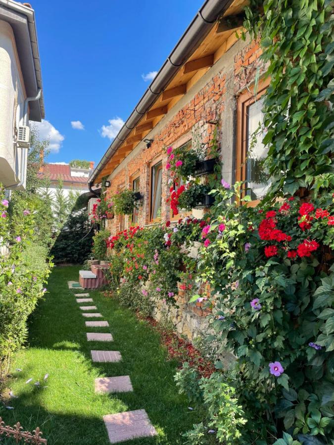 Flower House In The City Center! Pristina Kültér fotó