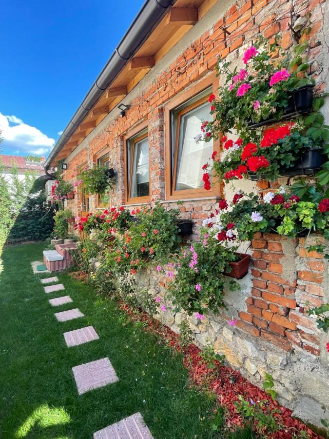 Flower House In The City Center! Pristina Kültér fotó