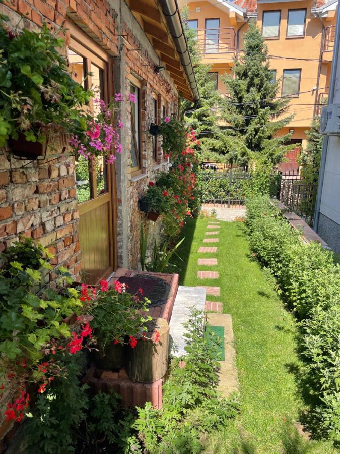 Flower House In The City Center! Pristina Kültér fotó